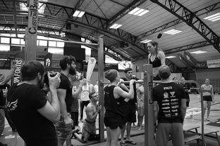 九游网页官网-“水上芭蕾与游泳较量:2025世界游泳锦标赛掀起观赛热潮” 第2张